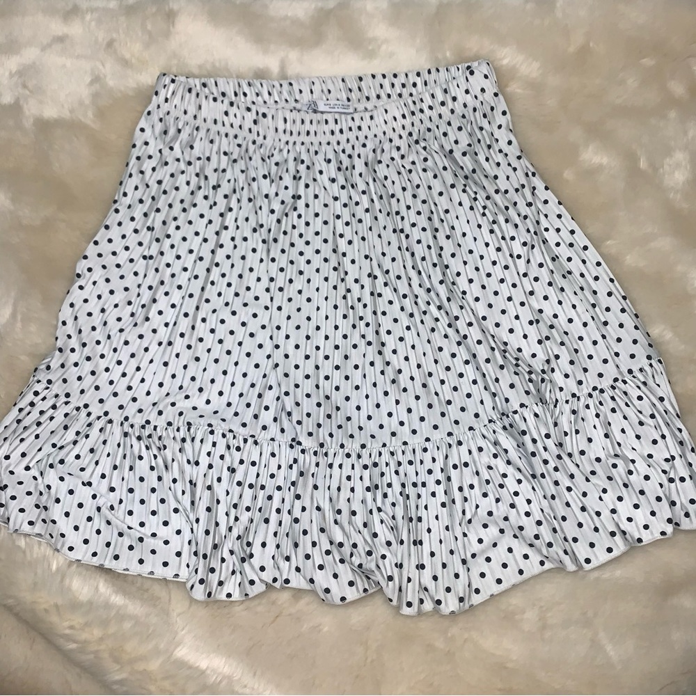 Zara Skirt - small